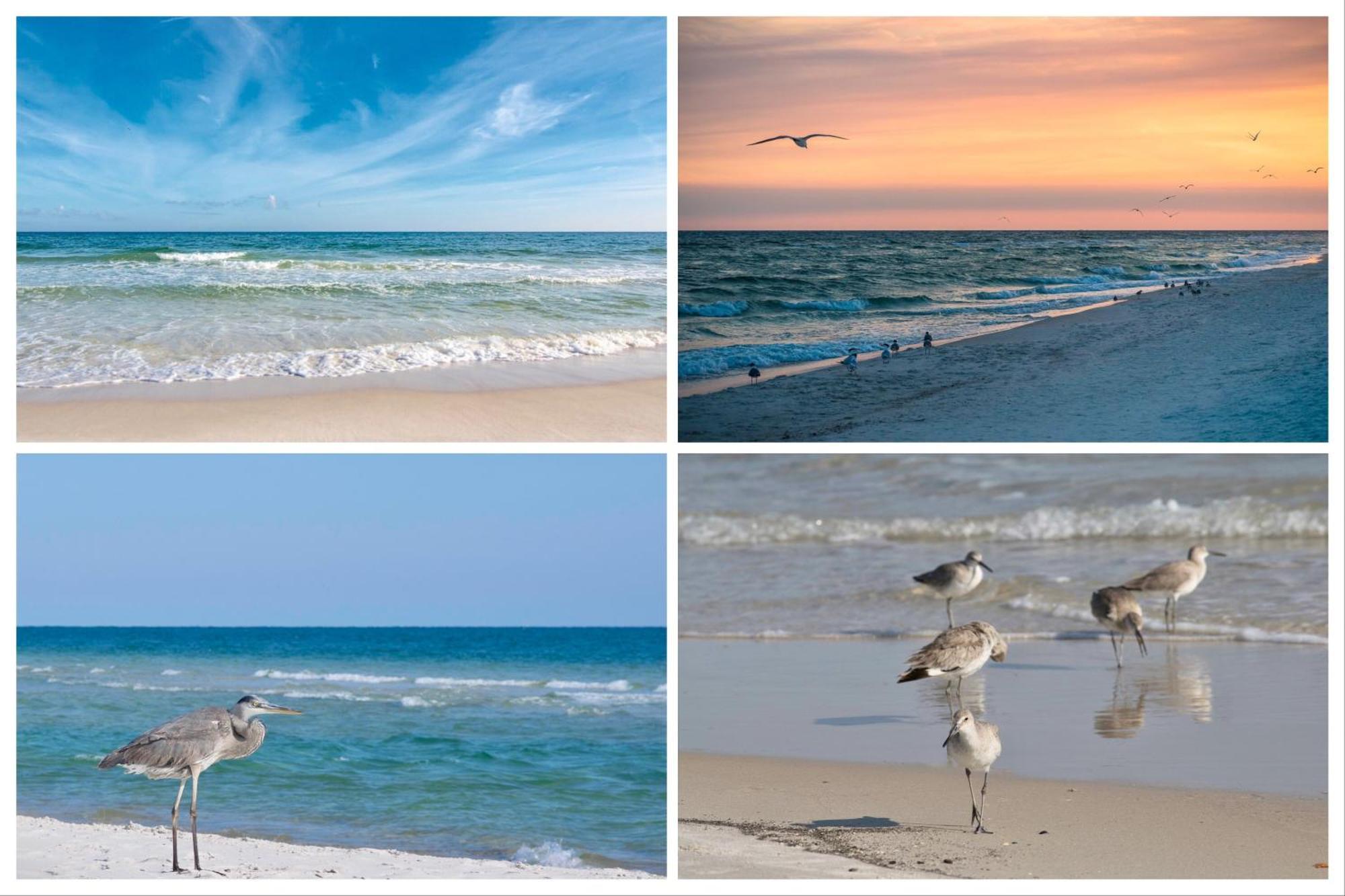 Vila Island Winds East Unit 401 Gulf Shores Pokoj fotografie